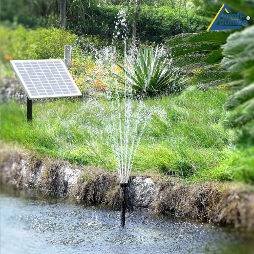 Teichpumpen-Set Solar Oasis 500-1. Solar Teich Pumpe Springbrunnen, Wasserspiel, Brunnen, Gartenbrunne, Zierbrunnen, Solarbrunnen, Solarspringbrunnen, Solarwasserspiel