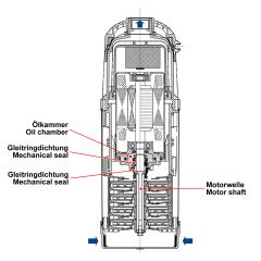 Tauchpumpe REGEN-STAR SUPER 800-3 Saugschlitzen, mit Schwimmerschalter, 10m Kabel mit FLUOMAC®